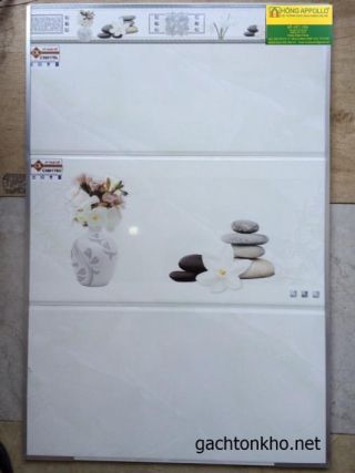 Gạch ốp tường 30x60 C3617SL