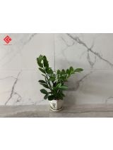 Gạch mờ 30x60 trắng vân khói giảm giá