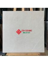 Gạch lát nền nhám mờ 60x60 viglacera màu be 804
