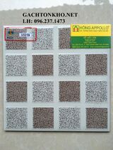 Gạch nhà tắm 25x25 S5219