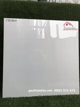 Gạch bóng kiếng 60x60 lát nền hcm