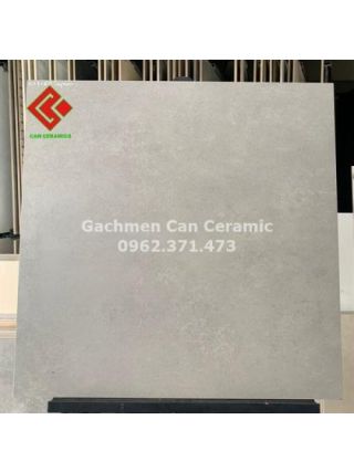Gạch vân xi măng nhám 60x60 GTK3160