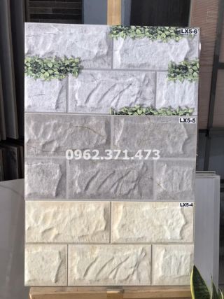 Gạch ốp tường nội thất trang trí đẹp 25x50cm