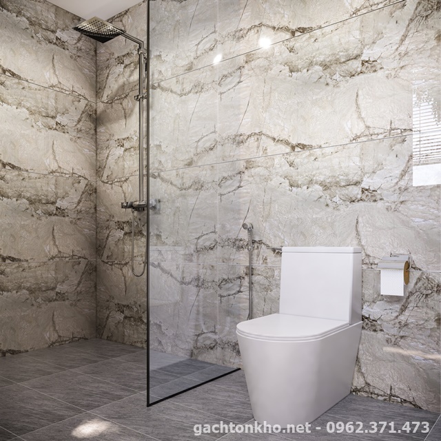 gạch ốp tường 60x120 ấn độ